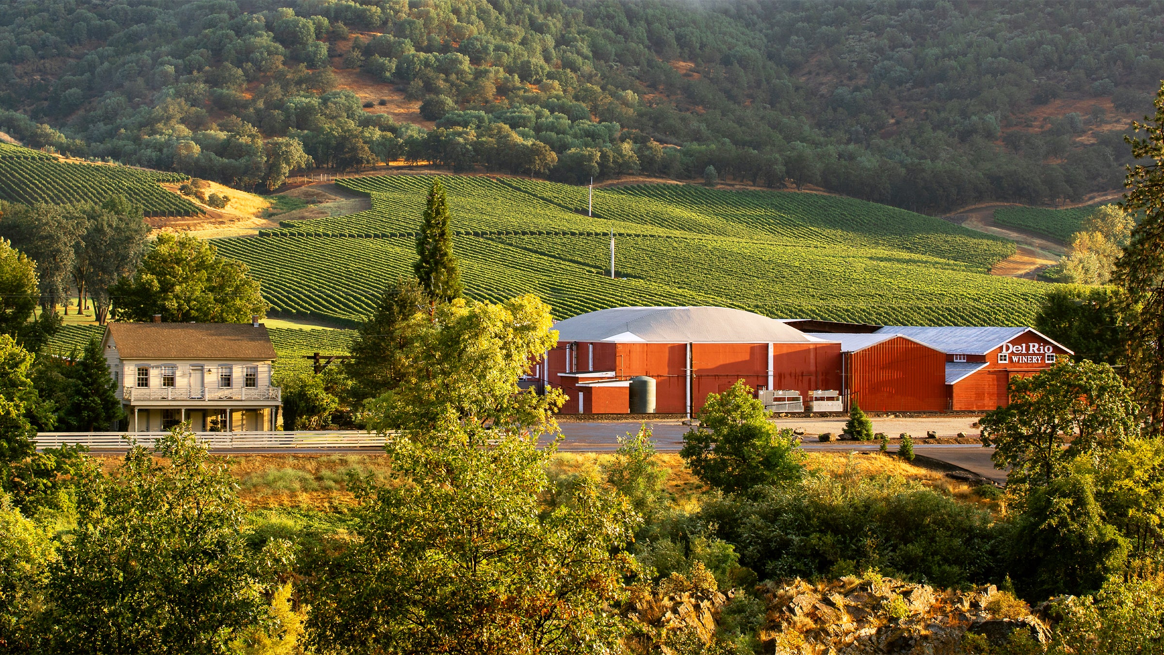 Image of Del Rio Vineyards looking towards the tasting room, warehouse, winery and lower part of the vineyard