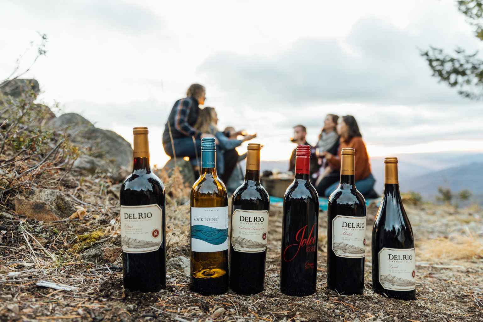 5 Surprising Facts About Del Rio Vineyards