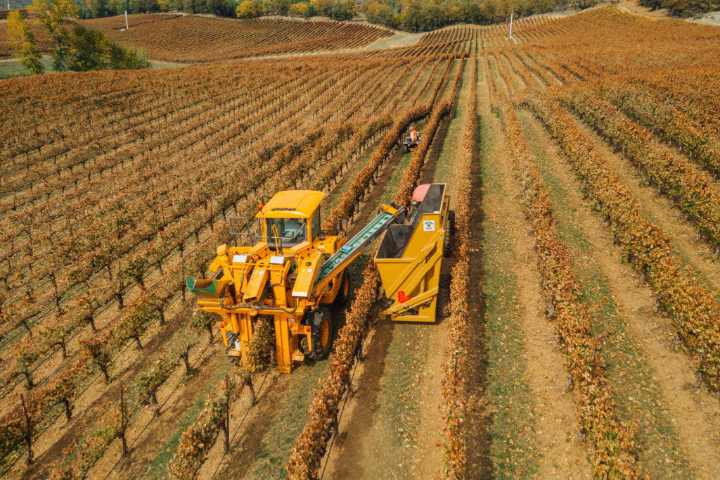 Harvest 2019