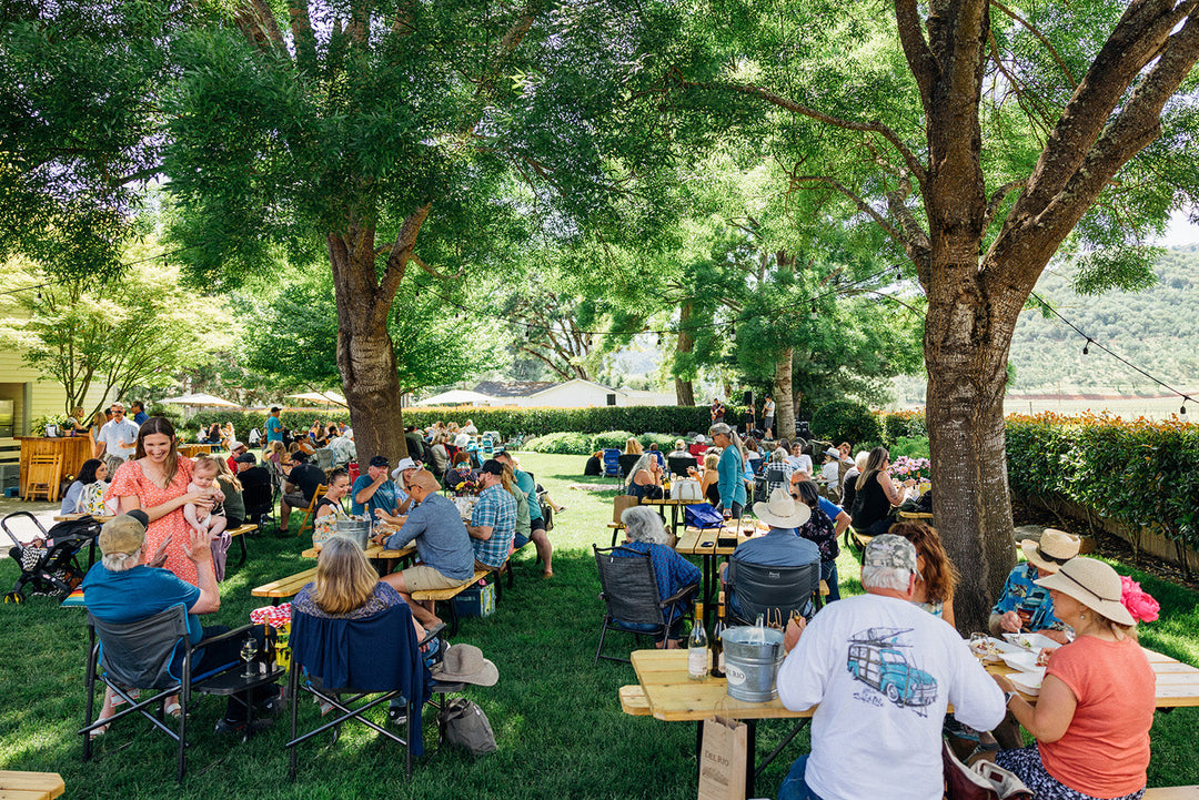 Del Rio Vineyards 2023 Summer Concert Series