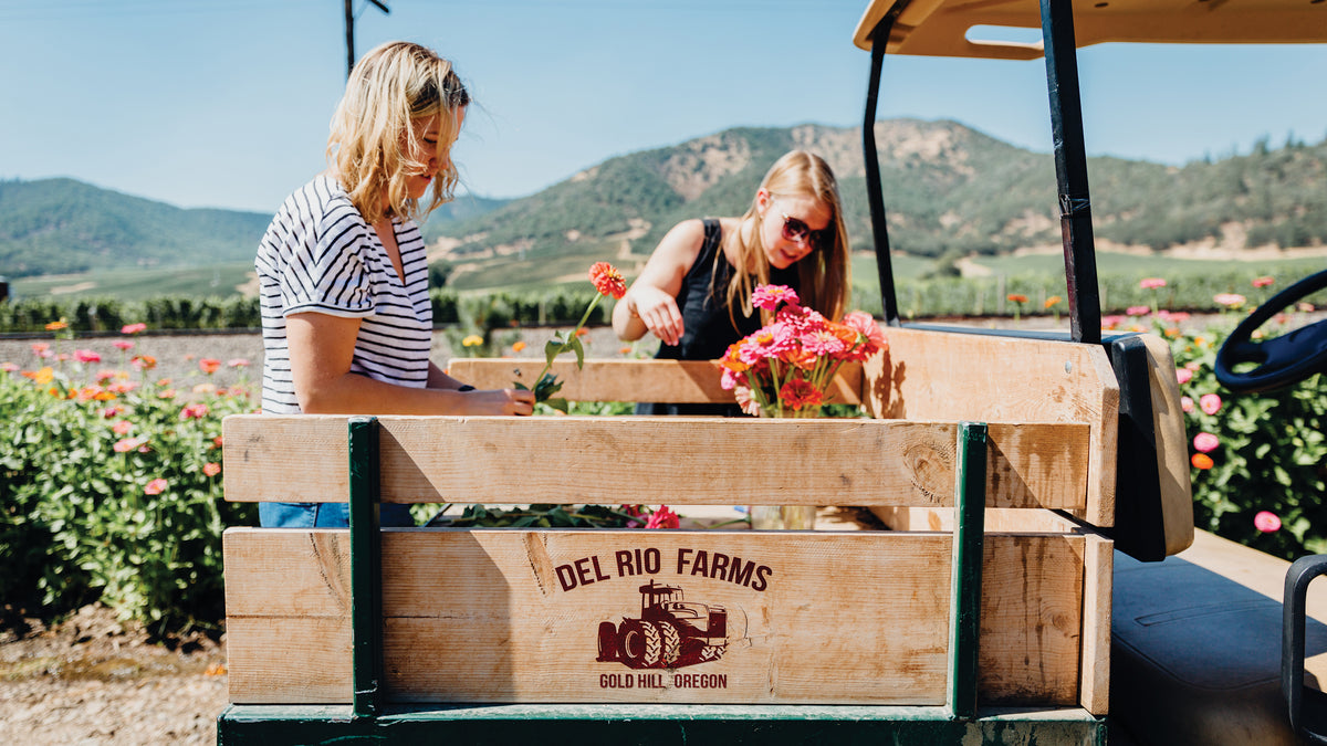 Del Rio Wine All – Del Rio Vineyards