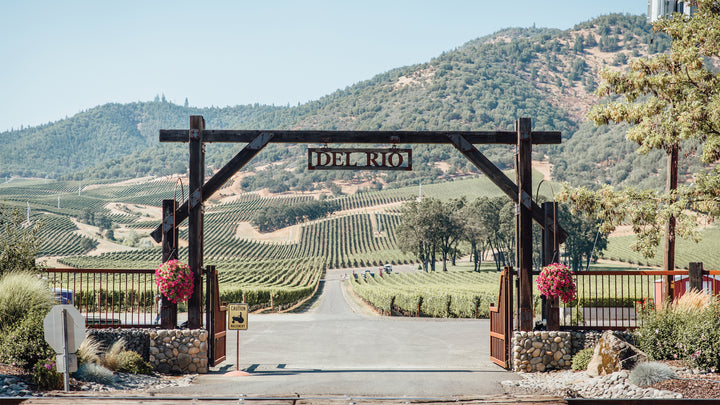 About Us – Del Rio Vineyards