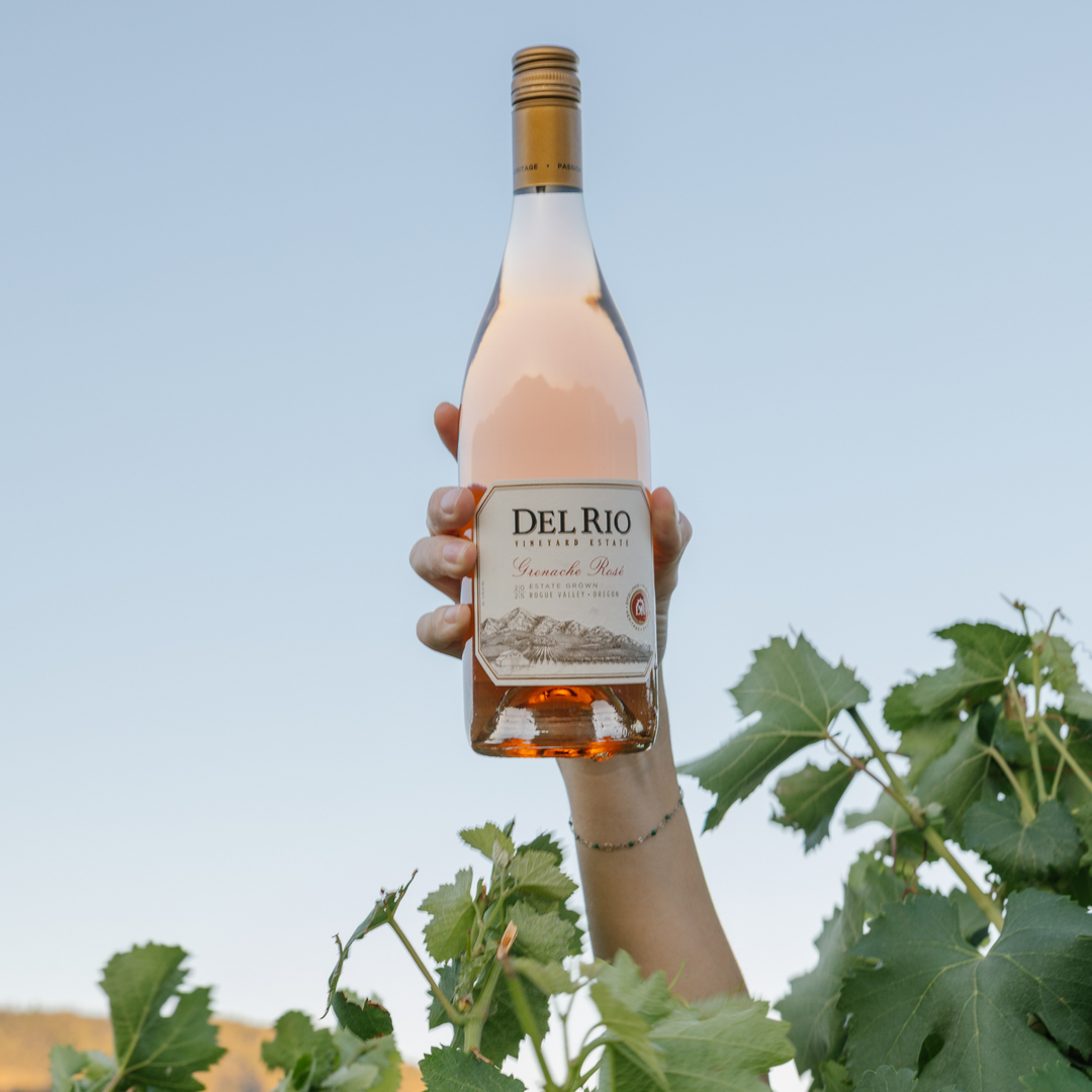 Grenache Rose above vines