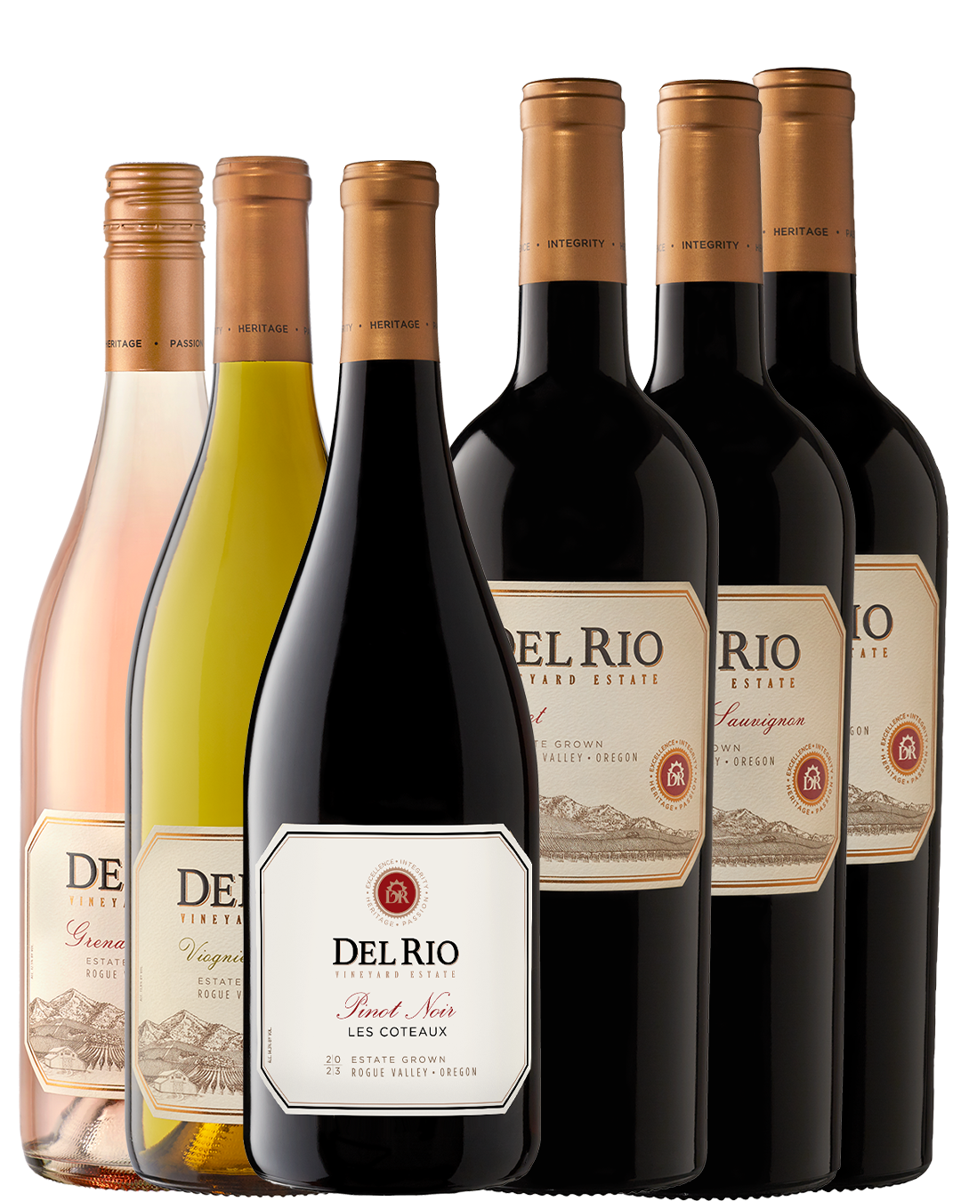 2025 Turkey Day Sampler