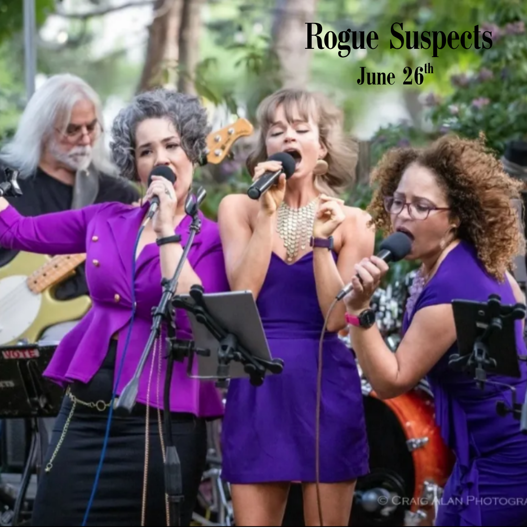 Public Ticket: The Rogue Suspects - Bonnie Raitt